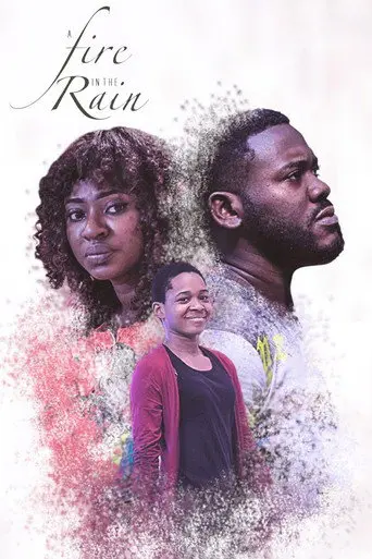 A Fire In The Rain (2017)