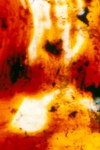 Panels for the Walls of Heaven (2002)