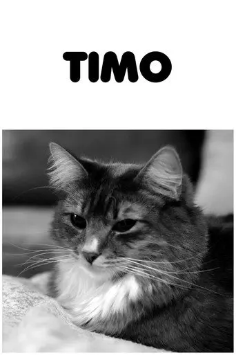 Timo (2020)