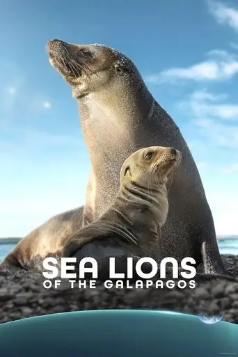 Sea Lions of the Galapagos (2025)