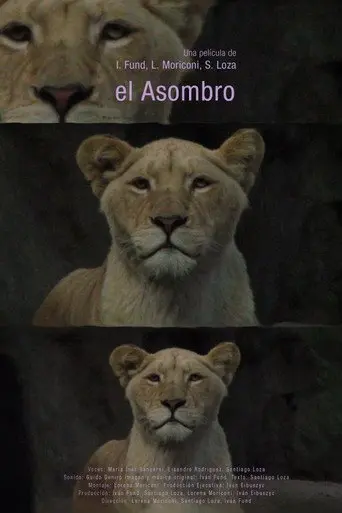 El asombro (2014)