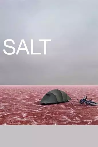 Salt (2009)