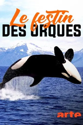 Norvège : le festin des orques (2021)