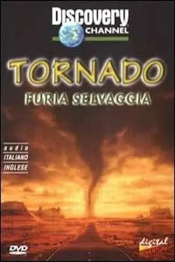 Tornado Chasers (2000)