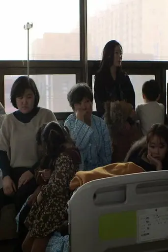 Birds Fly Back to the Nest (2016)