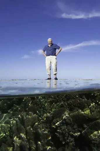 Reef Diaries (2015)