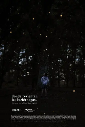 Where the fireflies burst (2024)
