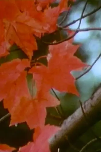 Discovery in a Landscape (1970)