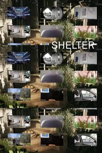 Shelter (2021)
