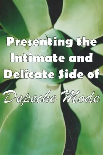 Depeche Mode: 1999–2002 “Presenting the Intimate and Delicate Side of Depeche Mode” (2007)