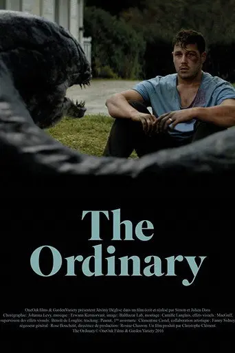 The Ordinary (2016)