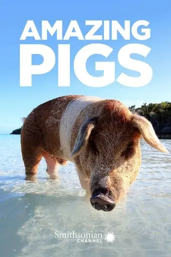 Amazing Pigs (2018)