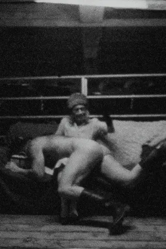 Dark, Scenes from the Barn (1992)