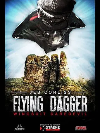 Flying Dagger (2014)