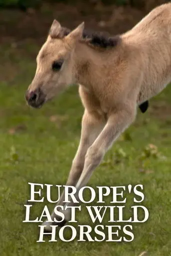 Europe's Last Wild Horses (2012)