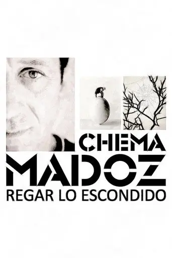 Chema Madoz: regar lo escondido (2013)