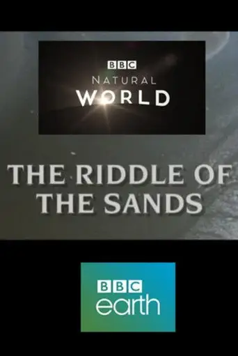The Riddle of the Sands (1995)