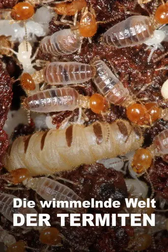 The World According to Termites (2018)