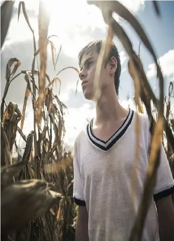 ORODETOLO (2017)
