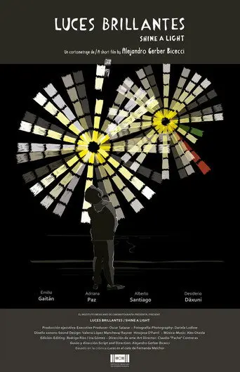 Shine a Light (2016)