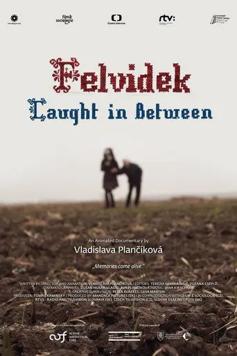Felvidek – Caught in Between (2014)