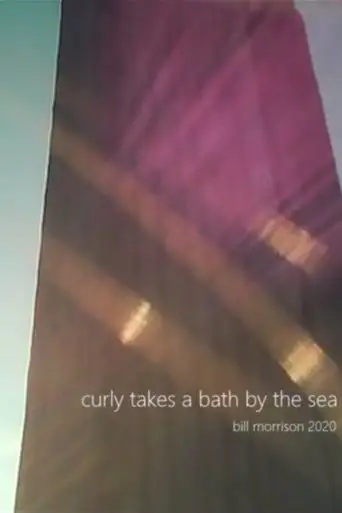 Curly Takes a Bath by the Sea (2020)