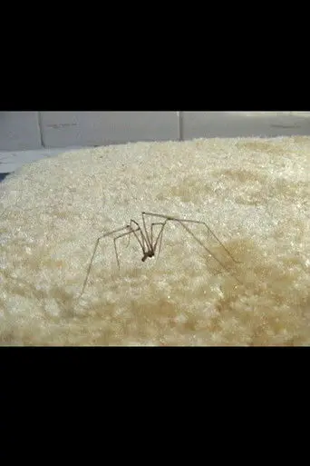 Coven of the Heathenites (2008)