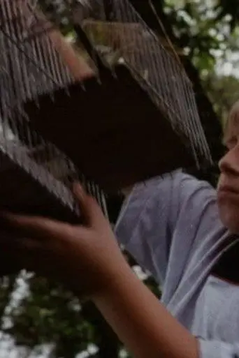 O Velho do Saco (1999)