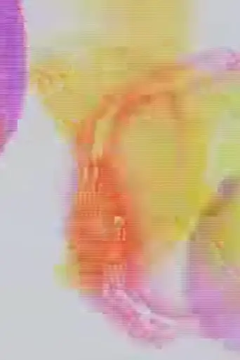 Rainbow Party (2009)