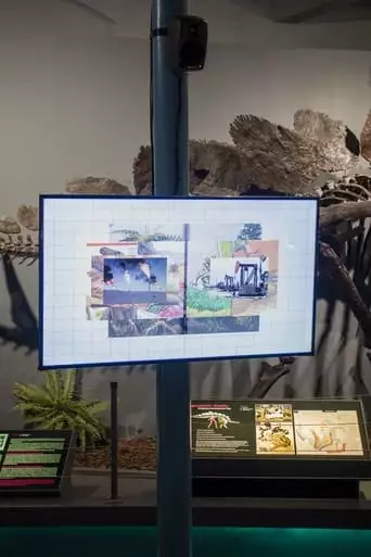 Fossil:images (2023)