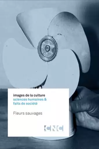 Fleurs sauvages (2016)