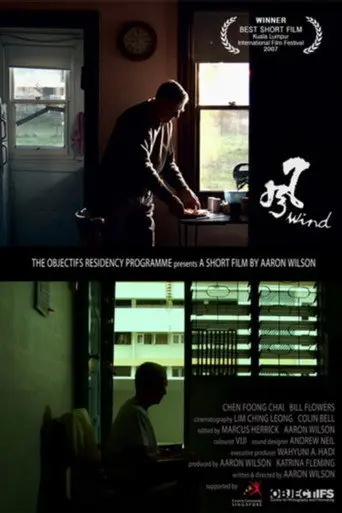 Feng (2007)