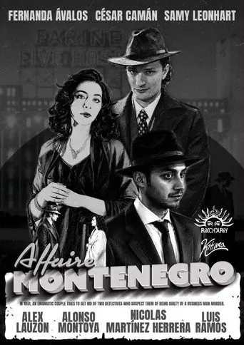 The Montenegro Affair (2026)