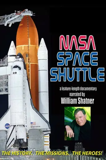 The Space Shuttle (2011)