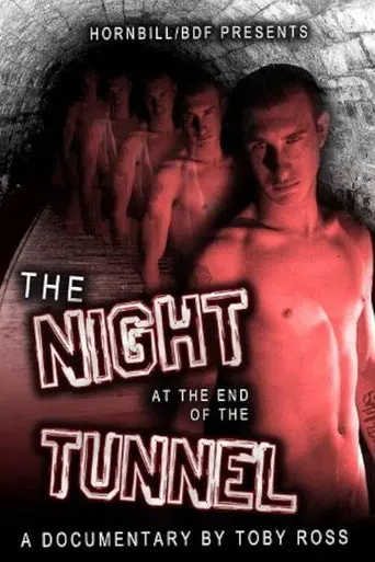 The Night at the End of the Tunnel (2011)