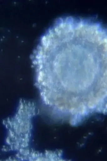 Fertilization in Video (1991)