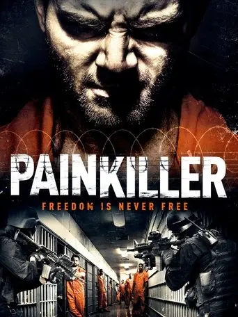 Painkiller (2013)