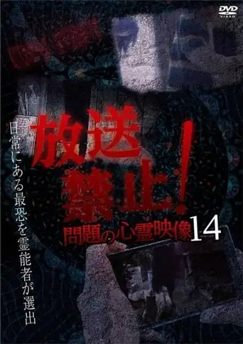 Broadcast Prohibited! Troubling Supernatural Footage 14 (2019)