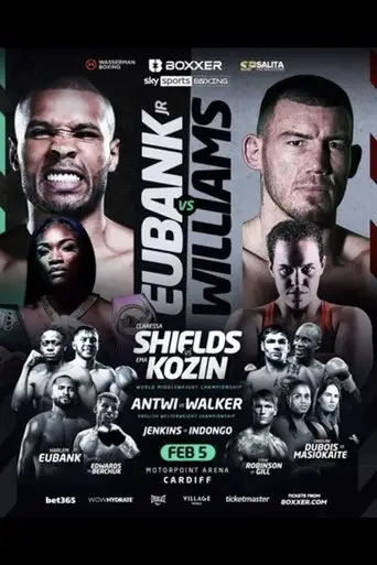 Chris Eubank Jr. Vs. Liam Williams (2022)