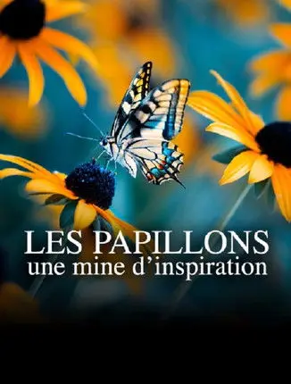 Les papillons, une mine d'inspiration (2021)