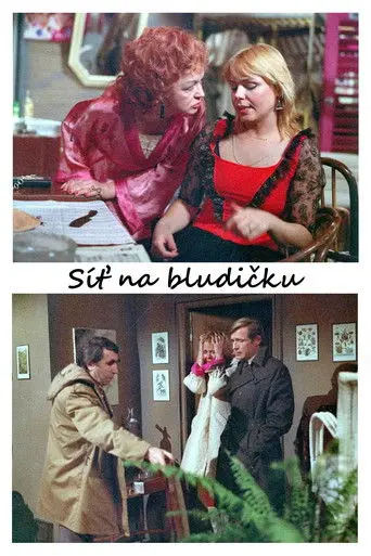 Síť na bludičku (1983)