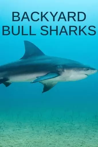 Backyard Bull Sharks (2022)