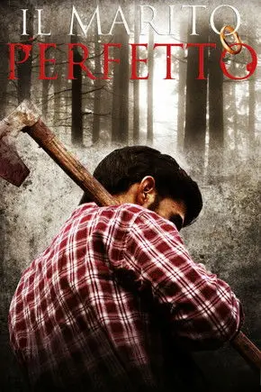 The Perfect Marriage (2011)