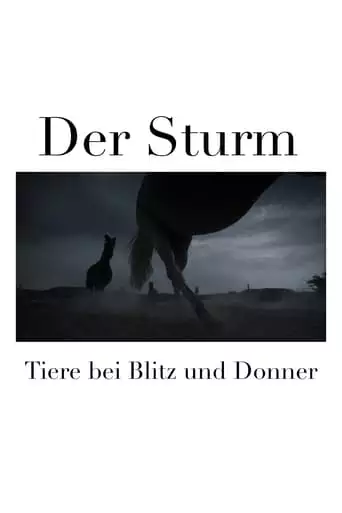 Der Sturm - Tiere Bei Blitz Und Donner (2023)