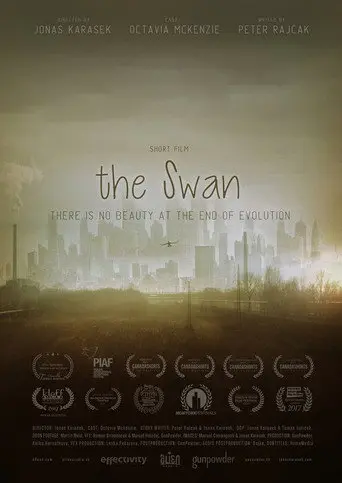 The Swan (2017)