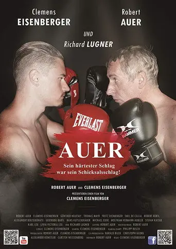 Auer (2017)