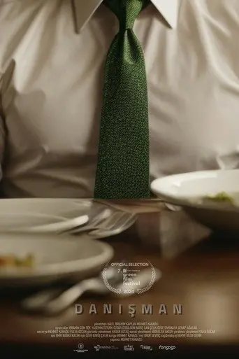 The Consultant (2024)