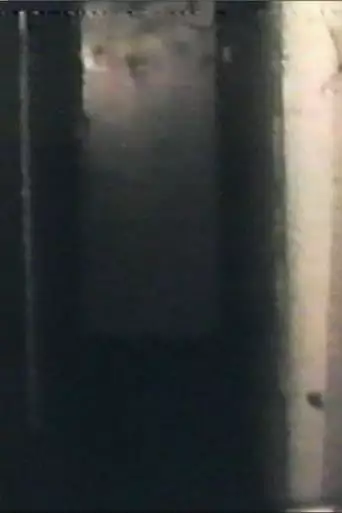 Audio And Visual Experiment 8 (2023)