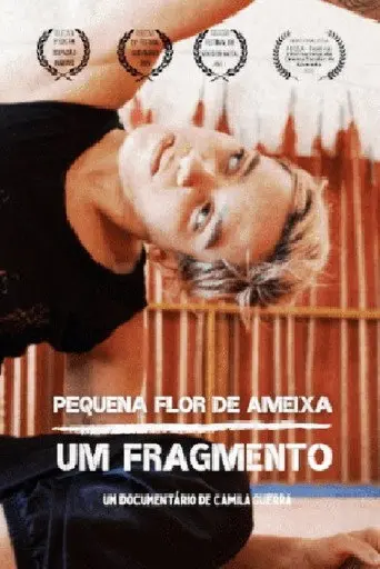 Pequena flor de ameixa: um fragmento (2020)