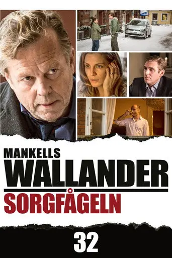 Wallander: The Sad Bird (2013)